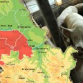 Otkrivamo sva trenutna žarišta afričke kuge svinja u Srbiji: Kako se prenosi, da li je opasna po ljude i kako je sprečiti…
