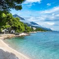 Hrvatska: Srušio se bor na plaži u Crikvenici, četiri osobe lakše povređene