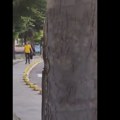 Zmija uočena u samom centru Novog Pazara (Video)