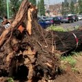 Oluja napravila haos na severu Italije: Drvo usmrtilo ženu, povređene još tri osobe VIDEO