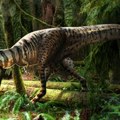 Животиње: Научници открили шта је последње јео тираносаурус