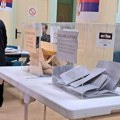 Grošelj: Izborne neregularnosti u Srbiji ranije bile sofisticiranije, sad je sve otvoreno