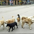 Protest “Srbija uz šapice“ i u Čačku