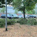 Težak dan za Srbiju: Vatra guta, vetar nosi (Video)