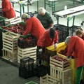 Martinović: Prioritet u zapošljavanju u Srbiji imaju domaći državljani