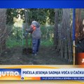 Počela jesenja sadnja voća u čačanskom kraju VIDEO