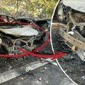 Prve slike požara na Novom Beogradu: Od auta ostala samo školjka, uviđaj u Omladinskih brigada u toku