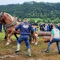 RABADžIJE SE TAKMIČE NA MURTENICI: Upregli volove i konje da izvlače drva