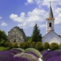 Balaton i Festival lavande u „mađarskoj Provansi”