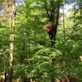 Spasen paraglajderista koji je sleteo na drvo u Gornjoj Trepči