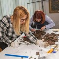 Vredna arheološka otkrića na lokalitetu u Seništima
