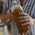 Može da pomogne crevima, ali nije za svakoga: Šta se dešava ako svakog dana pijete kombuhu