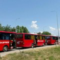 Na miting SNS iz Leskovca 3000 članova, iz okruga 7000 – angažovani i prevoznici iz Makedonije