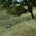 Detektivska priča ispričana kroz mitologiju balkanskog folklora: Film "Mraz" Pavla Vučkovića na španskom festivalu