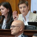 Brnabić: "30. aprila svet prvi put na Vučićevu inicijativu imao priliku da čuje priče o stradanju Srba"