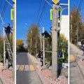 Sreća u nesreći! Radnici skidali znak za pešake, pa se rutinski posao umalo završio kobno