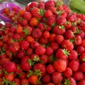Prve jagode na tezgama Srbije već privlače pažnju kupaca! Prodavačica otkriva kako prepoznati najsvežije i najkvalitetnije…