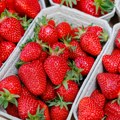 Prve jagode osvajaju pijace, a cena kilograma šokira mnoge! Uskoro bi mogle postati luksuz: Evo koji problemi muče proizvođače…