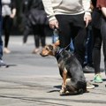 Naslovne strane za subotu, 23. maj 2026. godine