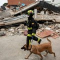 Venecuela: psi heroji ključni deo napora u pronalaženju ljudi pod ruševinama