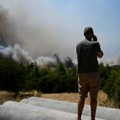 U požarima u Beotiji i Atici izgorelo više od 111.000 hektara zemljišta