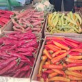 Ova paprika najbolja je za ajvar: Vrsne domaćice kad biraju gledaju ove 3 stvari, to je najvažnije!
