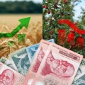Srpska hrana stiže sve delje – Bliski istok i Afrika nova šansa za izvoz