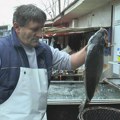 Ovo niko nije očekivao, riba na čačanskoj pijaci jeftinija nego prošle godine: Šaran bio 850 a sada 750 dinara (foto)