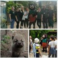 Zoo Palić slavi 74. Rođendan Pogledajte preslatke bebe belih vukova koje su dočekale posetioce (foto, video)