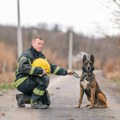 Zigi u penziji, krzneni heroj na zasluženom odmoru: Evo ko će naslediti belgijskog ovčara nepogrešivog njuha