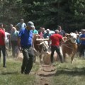 "Miholjski susreti sela" do kraja oktobra Ovog vikenda manifestacija će obići sela Sente, Boljevca, Paraćina i Brusa