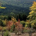 Vremenska prognoza za 27. avgust: Danas pretežno sunčano i toplo