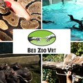 Devet decenija uspomena u srcu Beograda: Zoo vrt slavi 90. rođendan, a najmlađe čeka poseban poklon