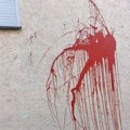 Napadi na više aktivista: „Živimo u atmosferi gde svako može biti napadnut, bilo zbog političke represije ili hira nasilnika“…