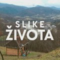 Slike života, nedelja 15:15: Visovi studenih reka