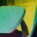 (Video) Lopov mislio da će ostati neotkriven ako stavi jastuče na glavu, ali je danas ipak uhapšen: Bizarna krađa u Novom Sadu…