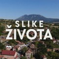 Kad jaganjci ućute dok se vode mute