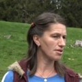 Dok drugi spavaju Dragana obavlja sve poslove! Loži ćumuranu, vozi traktor i majstor je za sir: Ovako izgleda njen dan na…