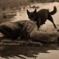 Troje ljudi umrlo posle snimanja ukletog filma: Zlokobna istina krije se iza smrti reditelja i glavnih likova "Užasan otrov se…