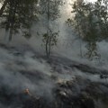 Srbijašume: Kritičan period šumskih požara, apelujemo na odgovorno ponašanje građana