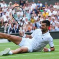 E, zato je Novak Đoković goat: Ovakav poen je odigrao sa 38 godina, Nole se bacio za lopticom na travu!