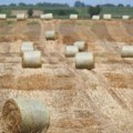 Velika afera u Grčkoj: Pronevereno 22,6 miliona evra poljoprivrednih subvencija EU