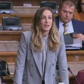 Oreg poslanicima vlasti: Kozmetičkim izmenama ne možete sakriti izbornu krađu i pritiske