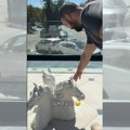 "Neko je sinoć došao i skrcao je" Bogati Srbin pokazao štetu na luks imanju od 3 miliona evra na Dedinju, vidno ogorčen se…