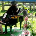 Slavni britanski muzičar svirao klavir za 150 medveda