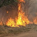 Gori divlja deponija u Velikoj Kopašnici kod Leskovca, vatrogasci na terenu (video)