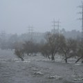 Oluja odnosi živote, on skače u reku za psom: Dramatična akcija spasavanja u Kaliforniji: Kamere sve snimile (foto/video)