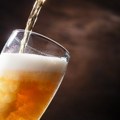 „Beograd ostaje“ poziva na bojkot Bir festa