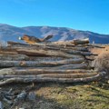 Da li Šumsko gazdinstvo „Leskovac“ trenutno ima kapacitete za prodaju ogrevnog drveta i zašto nema?