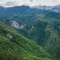 Гардијан ишао у лов на босанског медведа, у најстаријој шуми у Европи